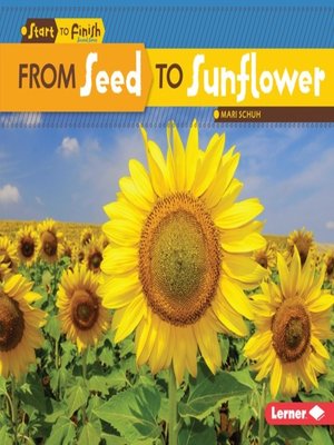 cover image of From Seed to Sunflower
